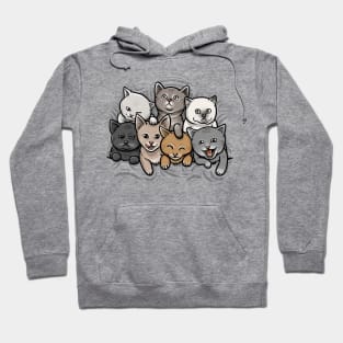 KITTENS Hoodie